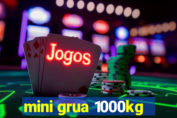 mini grua 1000kg